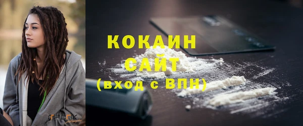 тгк Абаза