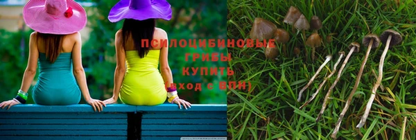 дурь Алзамай