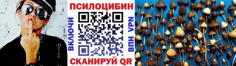 где купить наркотик  гидра сайт  Галлюциногенные грибы мицелий  Урус-Мартан 